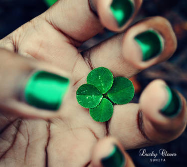 .Lucky Clover.