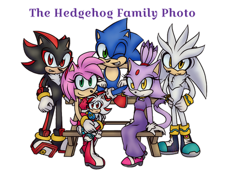 Commission #5 - The Hedgehog Family Photo