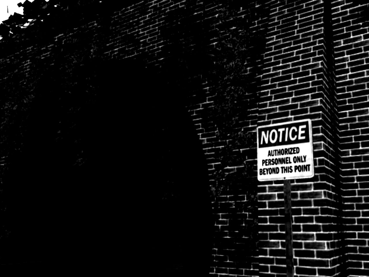 Random Notice Notice. by WilburTramBoi on DeviantArt