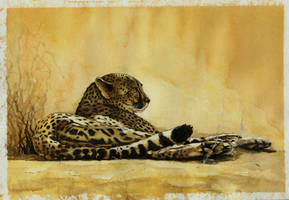 Gepard watercolor