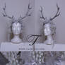 Silver winter Antlers