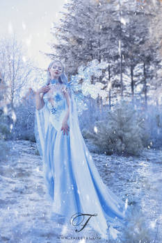 Frost Fairy