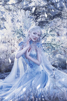 Frost Fairy