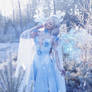 Frost Fairy