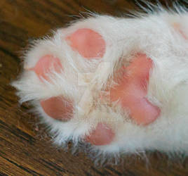 Paw