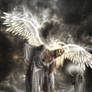 When Angels Fall