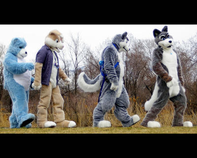 Furry Abbey Road