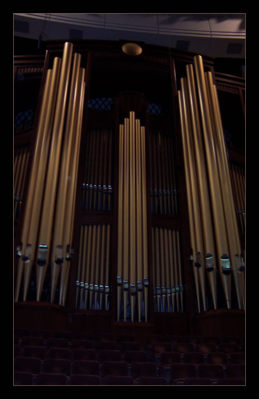 Organ Pipes