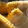 cornsteam