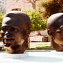 Heads WP