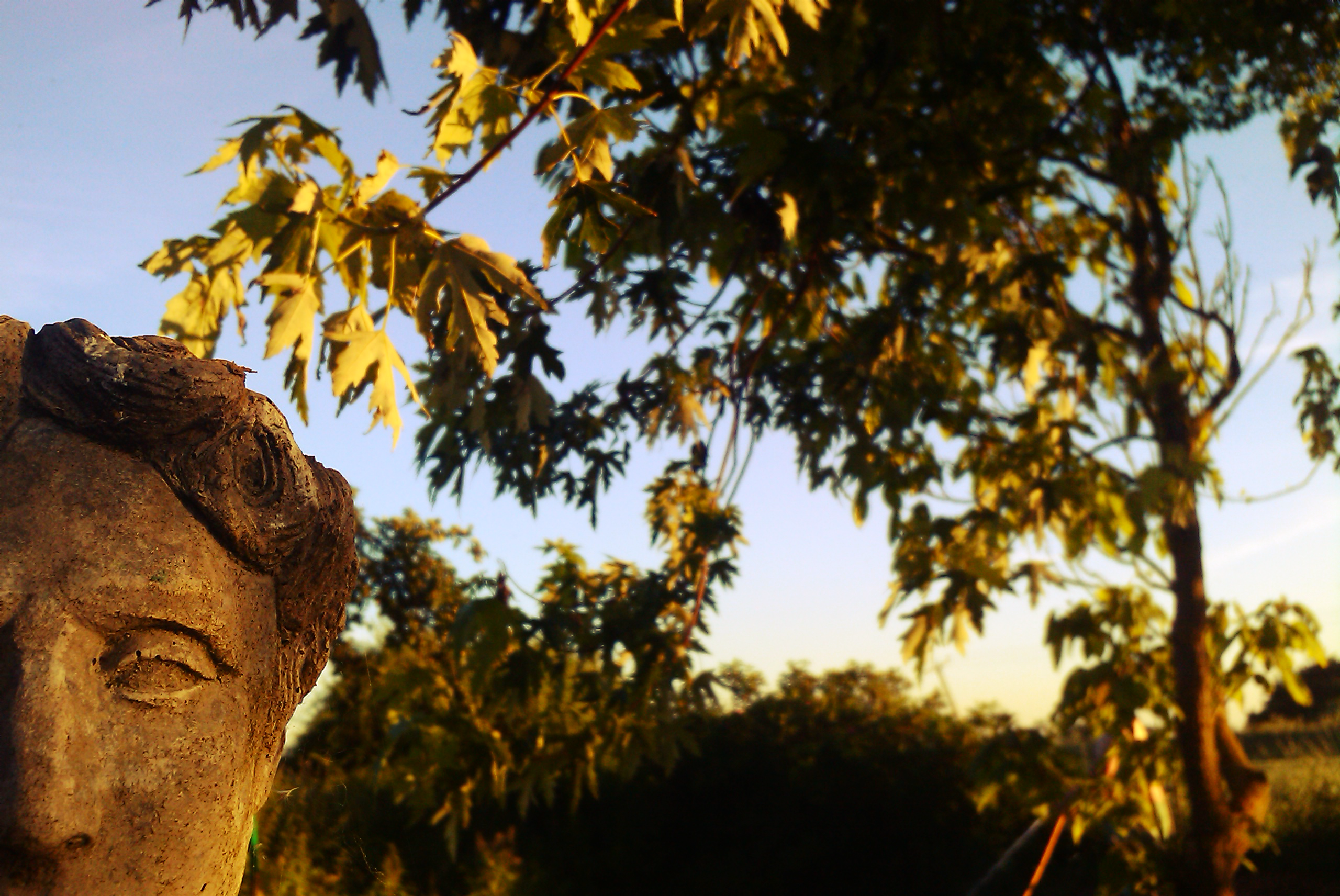 Statue in my garden