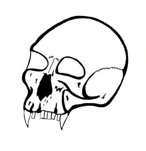 skull of a vampire