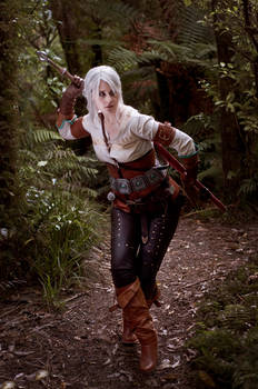 Ciri 02