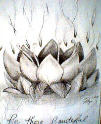 the lotus