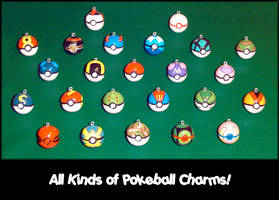 All My Pokemon Pokeball Charms