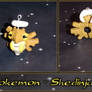 Pokemon - Shedinja Charm