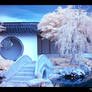 Chinese Garden IR 2