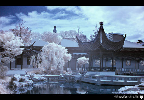 Chinese Garden IR 3