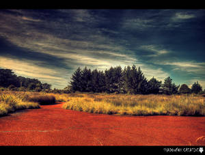 I see Red by shadowfoxcreative I see Red by shadowfoxcreative