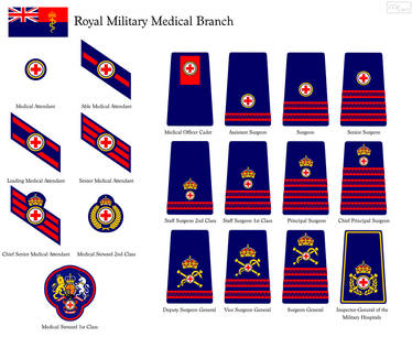 RMMB-insignias