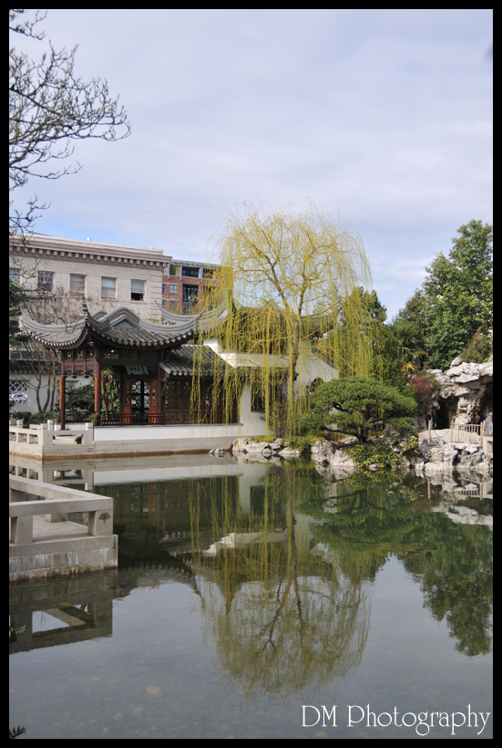 Portland Chinese Gardens XII