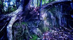 Twilight Forest by Identifyed-Khaos