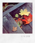 Leaves by unsweet