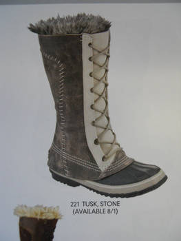 the boots I whanted