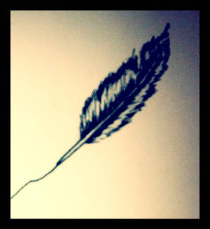 Feather