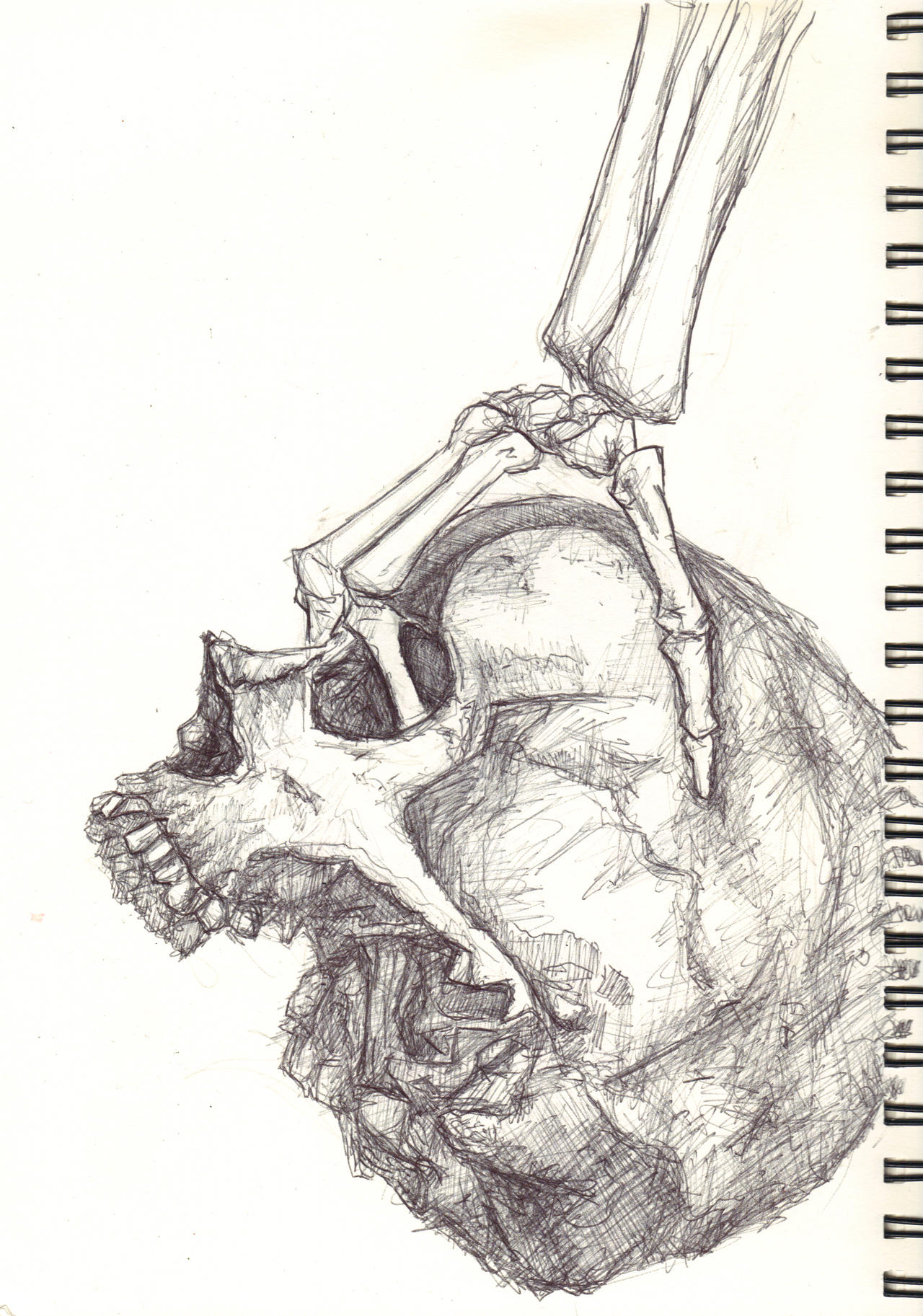 (Another) Skull