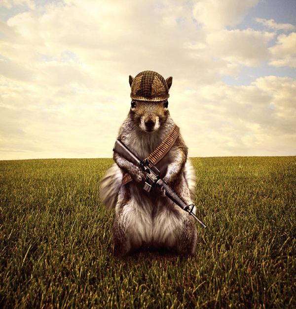 Soldier Squirrel Photo Manipulation