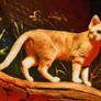 Sand Cat