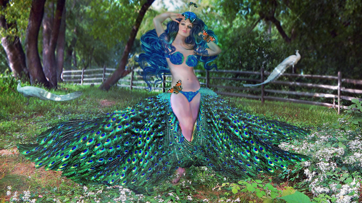 Peacock Queen 