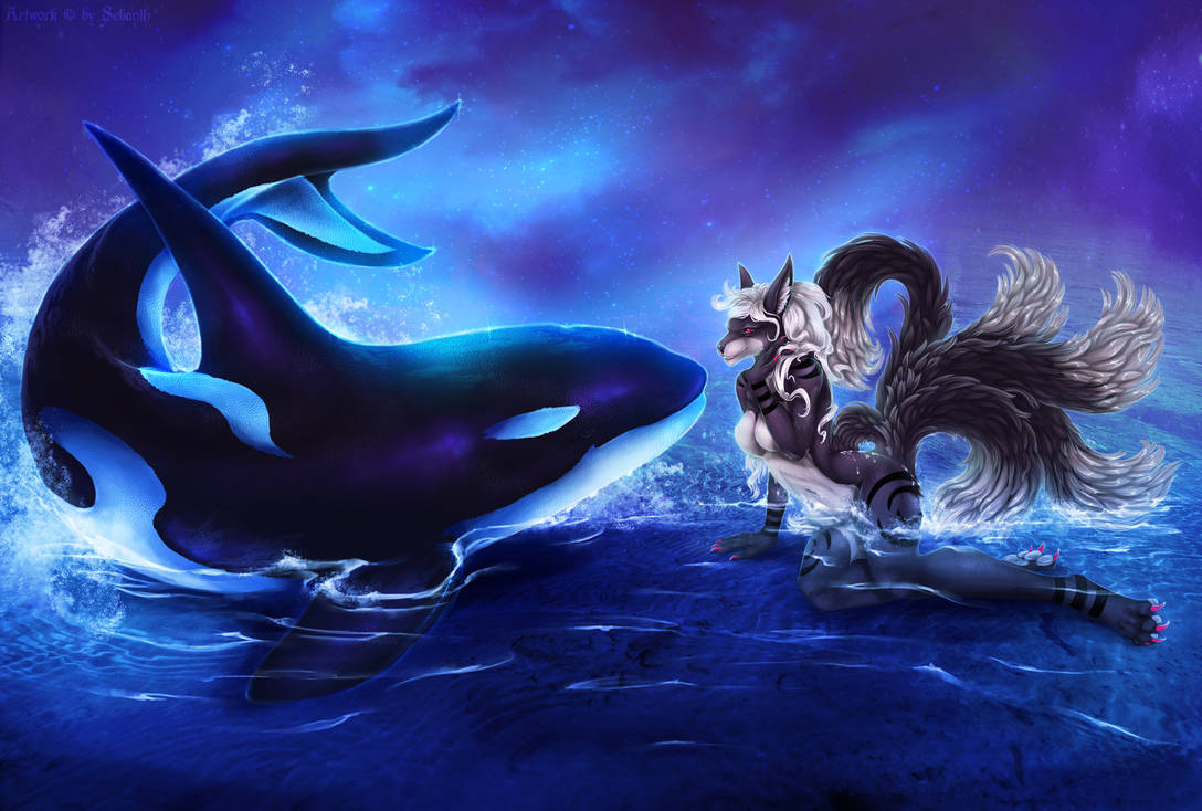 Orca love - Carla by Selianth on DeviantArt