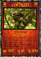 Me'HUD card