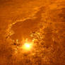 Orange Puddle