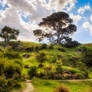 Hobbiton