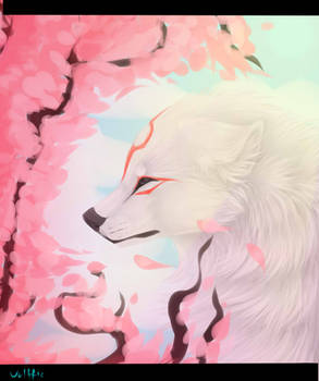 Okami