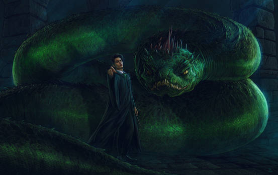Harry Potter and the Chamber of Secrets -FanArt 19