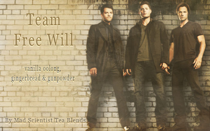 Team Free Will