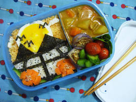 sunrise paddy field bento