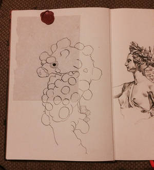 Pigmy Seahorse-Sketchbook Page 2