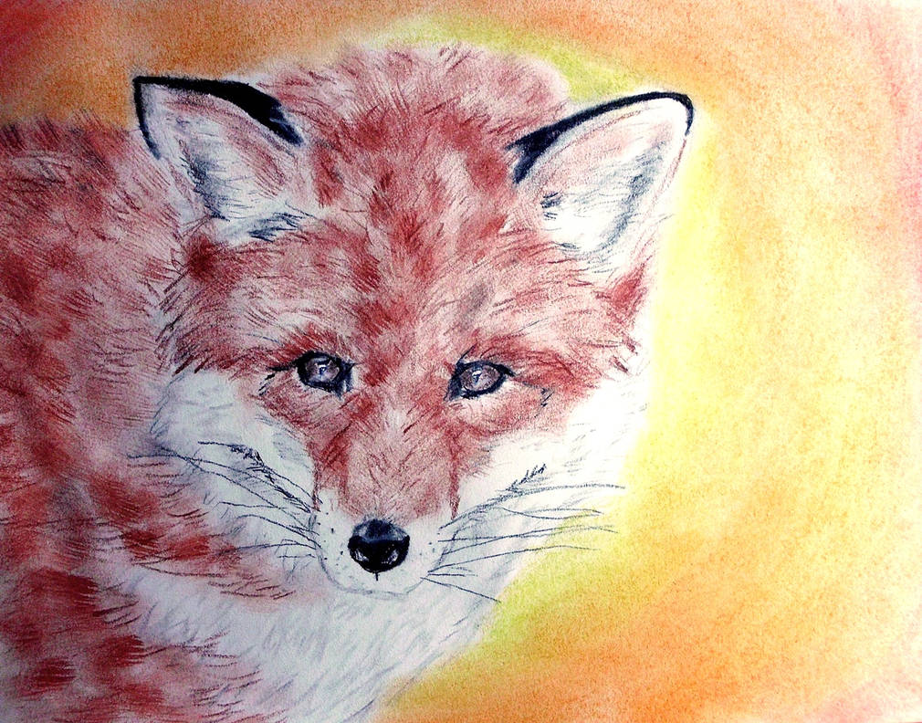 Vulpes vulpes by CpointSpoint on DeviantArt