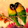 Parrots love