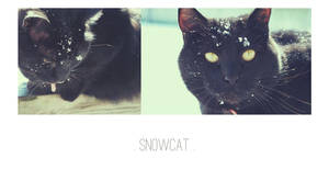 Snow Cat