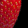 Monolithic Berry