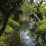 Hidden Watercourse