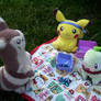 PMD - Picnic with Furret