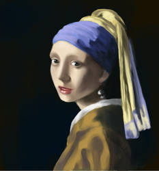 Vermeer Study