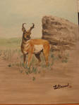 Pronghorn by Legrandzilla